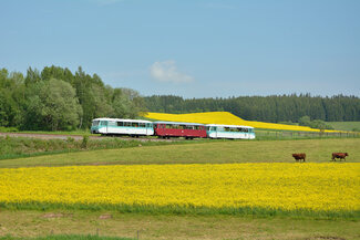 Die historischen Triebwagen mühen sich