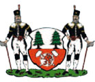 Wappen der Stadt Scheibenberg